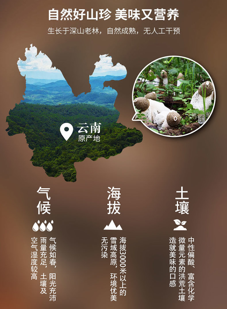 云南鲜花饼,清真鲜花饼,手工鲜花饼,伊可兰