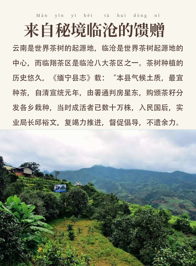 云南鲜花饼,清真鲜花饼,手工鲜花饼,伊可兰